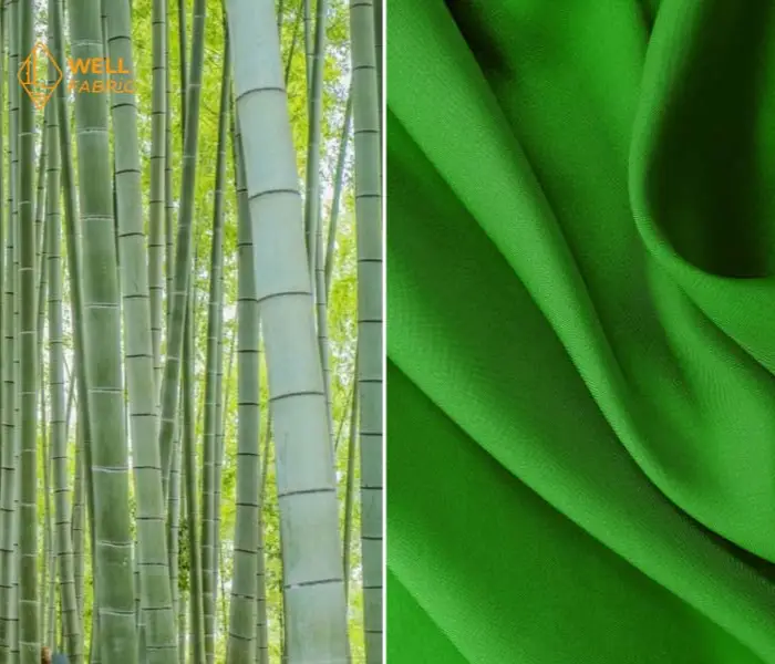 Bamboo Bamboo